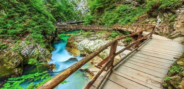 From Bled: Self-Guided E-Bike Tour to Vintgar Gorge