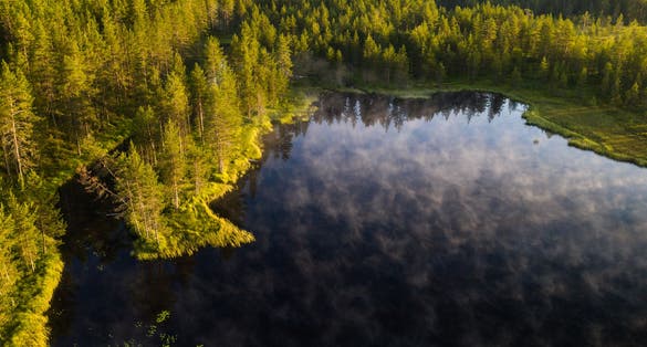 Photo of aerial view of a pond and taiga forest in Tiilikkajärvi National Park, Finland.