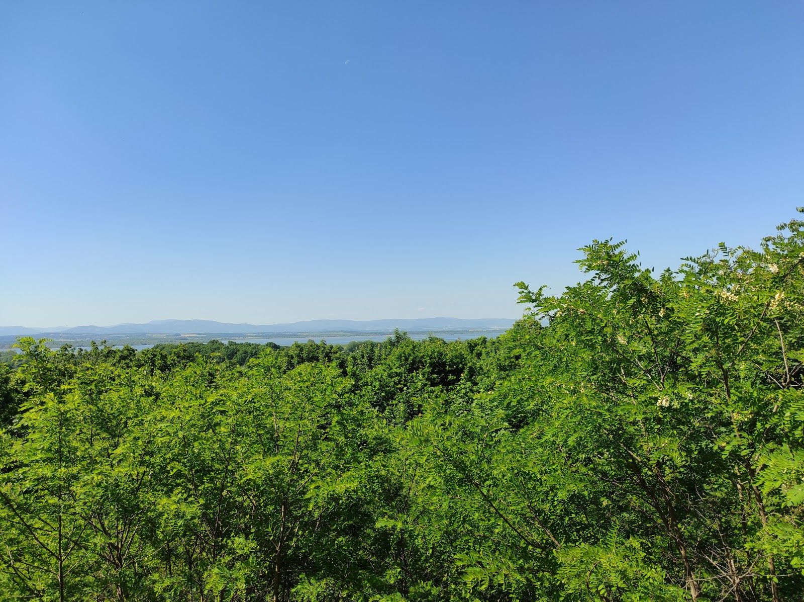 Altana Eichendorffa, Nysa, gmina Nysa, Nysa County, Opole Voivodeship, Poland