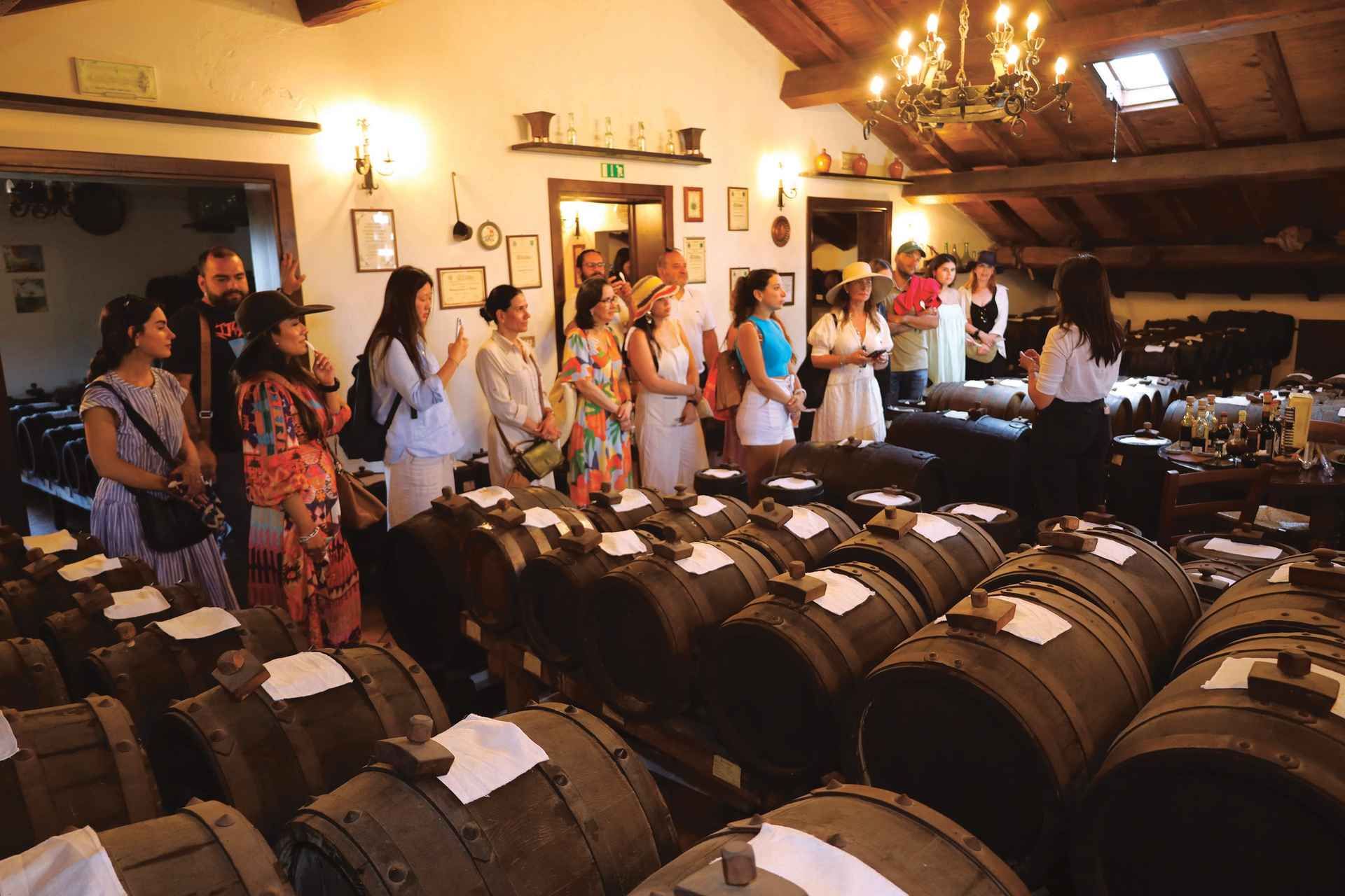 MODENA: BALSAMIC VINEGAR TOUR AND TASTING - TYPICAL
