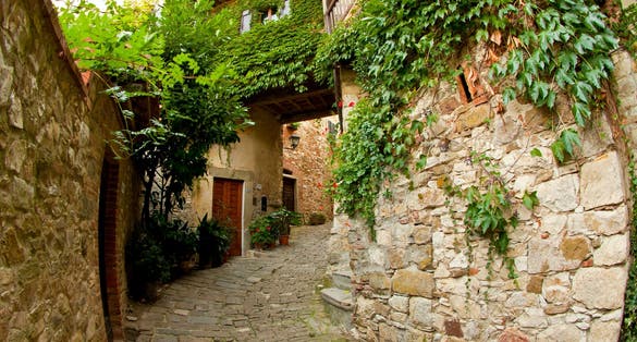 The Castle of Verrazzano is located on a hilltop in the area between Florence and Siena, the Chianti Classico, the first production area in the world.