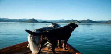 Virpazar: Historical & Nature Boat Adventure on Lake Skadar