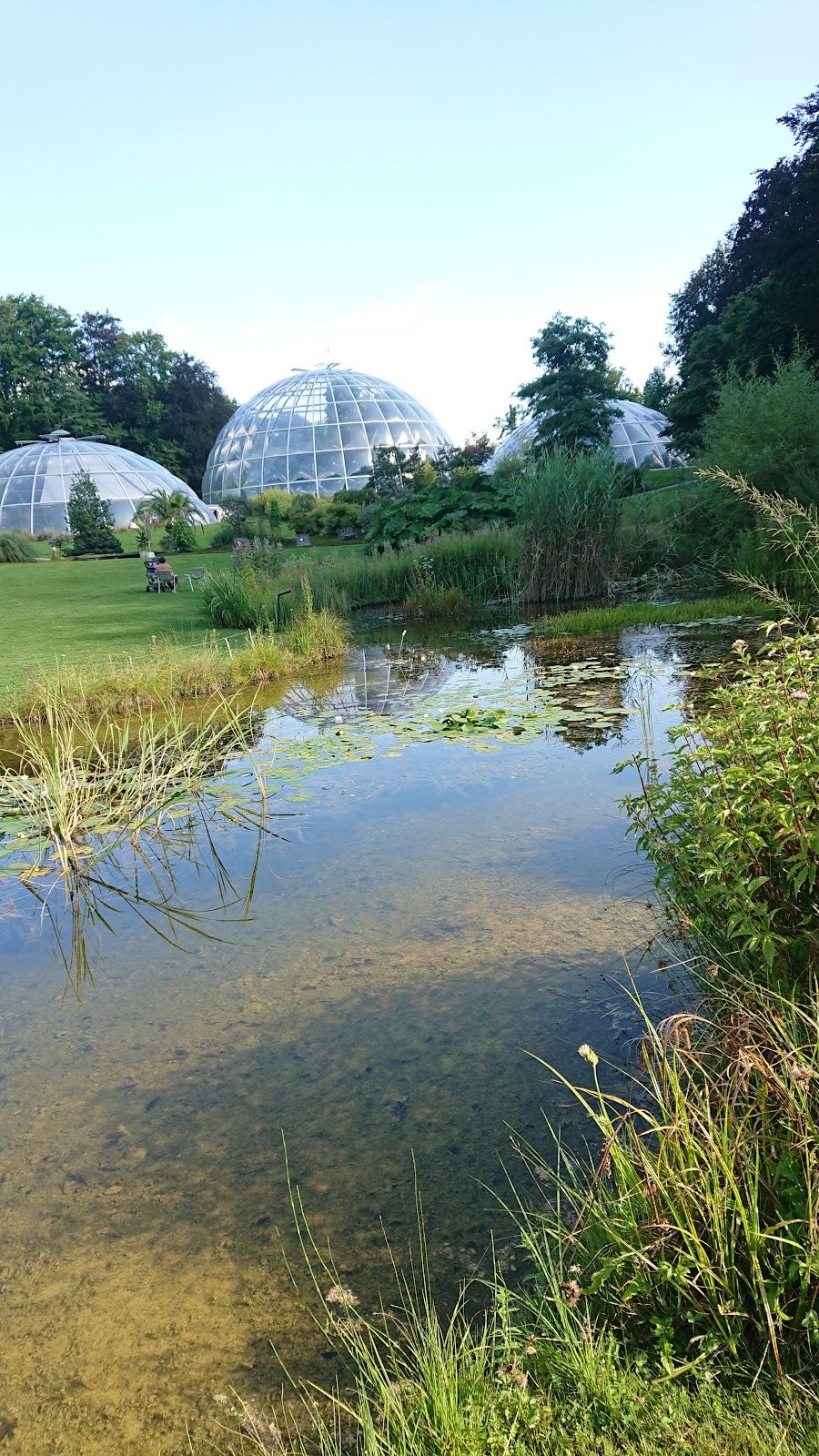 Botanical Garden, Weinegg, Riesbach, Zurich, District Zurich, Switzerland