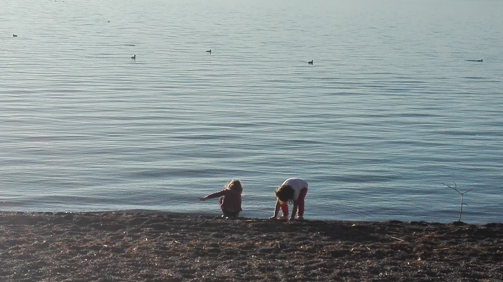 Metropolis Beach Ohrid, Shipokno, Municipality of Ohrid, Southwestern Region, North Macedonia
