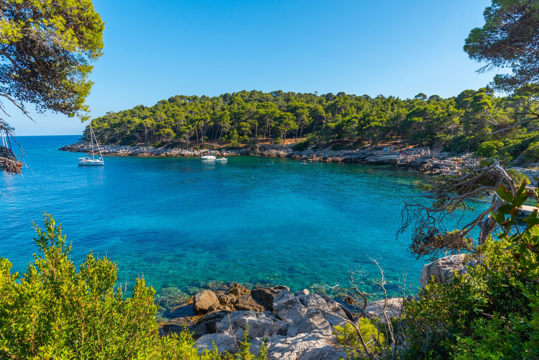 Photo of rocky beach at Lokrum island near Dubrovnik, Croatia.
