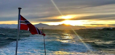 Tromsø: Polar Fjord & Fishing Cruise with Lunch included