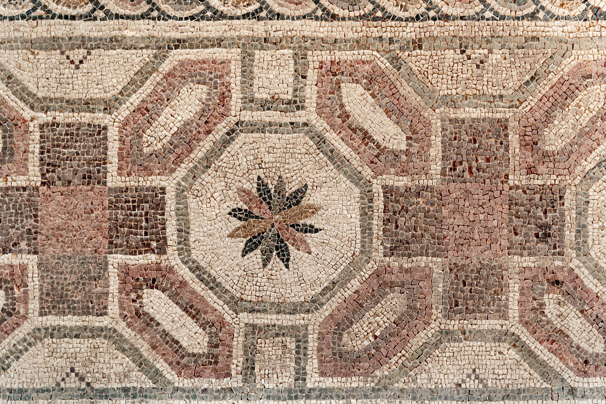 Photo of Antique mosaic on the floor of the house of Dionysus. Archaeological Park of Paphos. Cyprus.