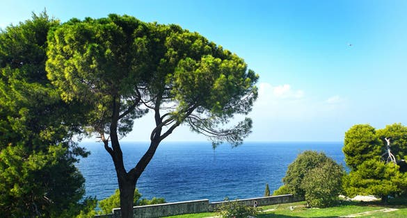  nature , beautiful view to the Adriatic sea, Rovinj, Croatia.