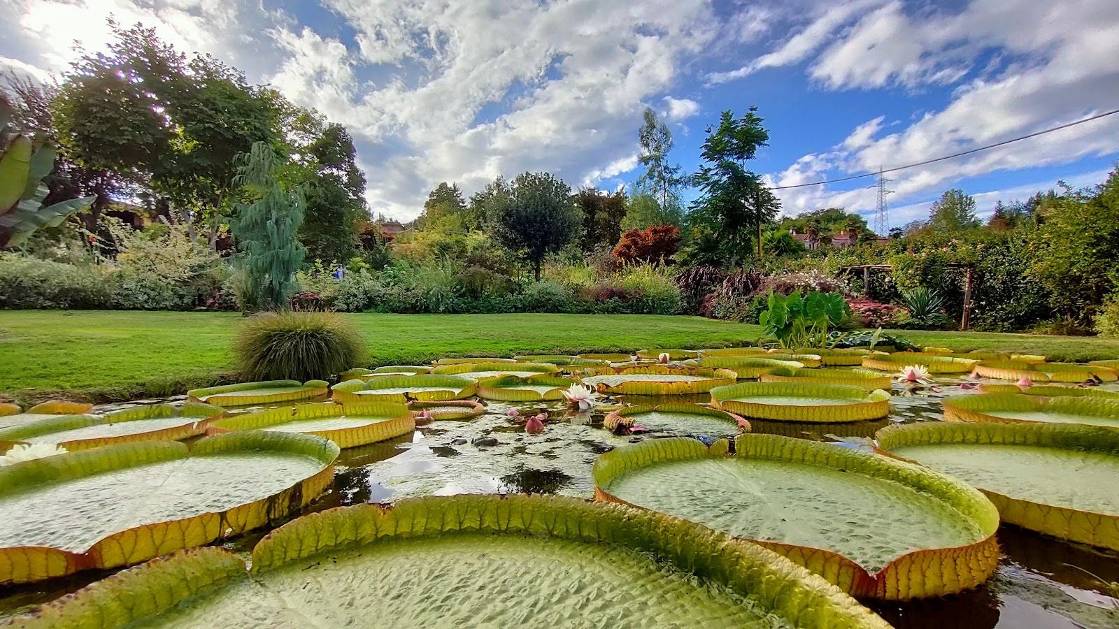 Giardino Botanico Villa Bricherasio, Saluzzo, Cuneo, Piemont, Italy