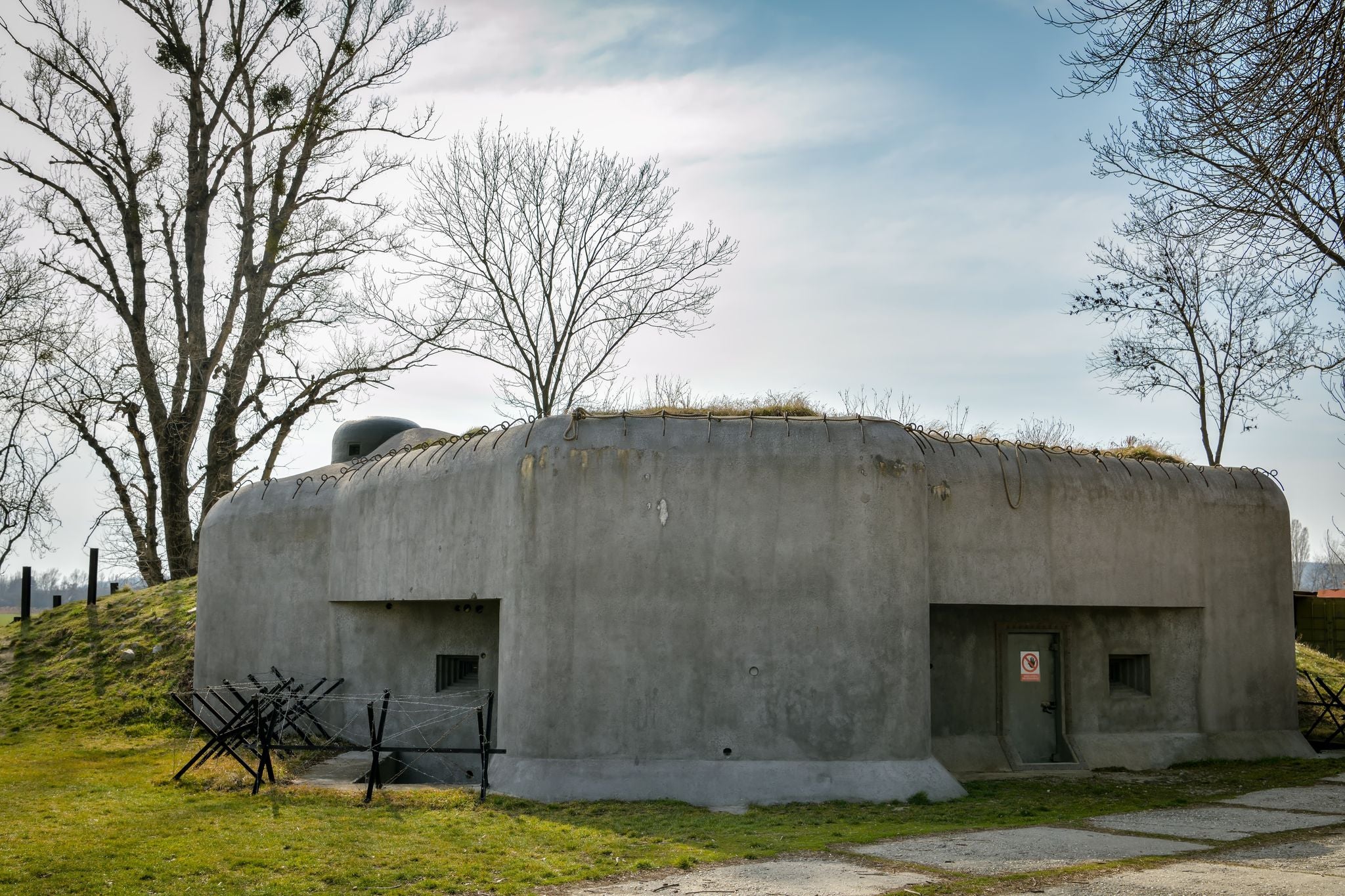 shutterstock_2412366869 (1).jpg