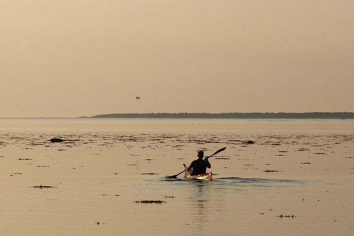 Private Transfer From Ribe to Copenhagen With a 2 Hour Stop