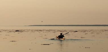 Private Transfer From Ribe to Copenhagen With a 2 Hour Stop