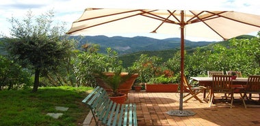 Lezione con Chef di Cucina Tradizionale Bolognese