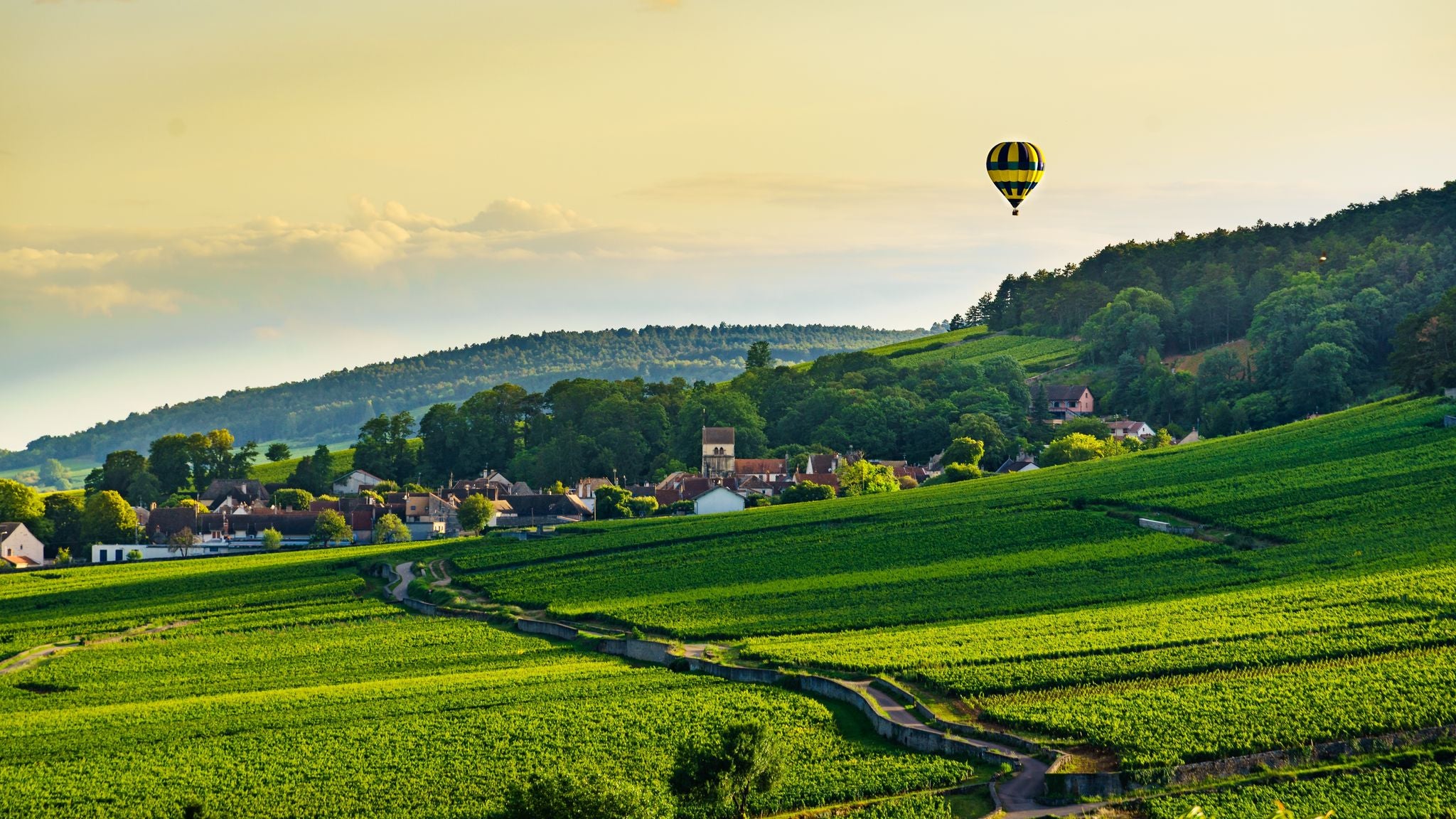 Hot air balloon ride above the Burgundy landscape. Cote de Beaune, Pommard region.