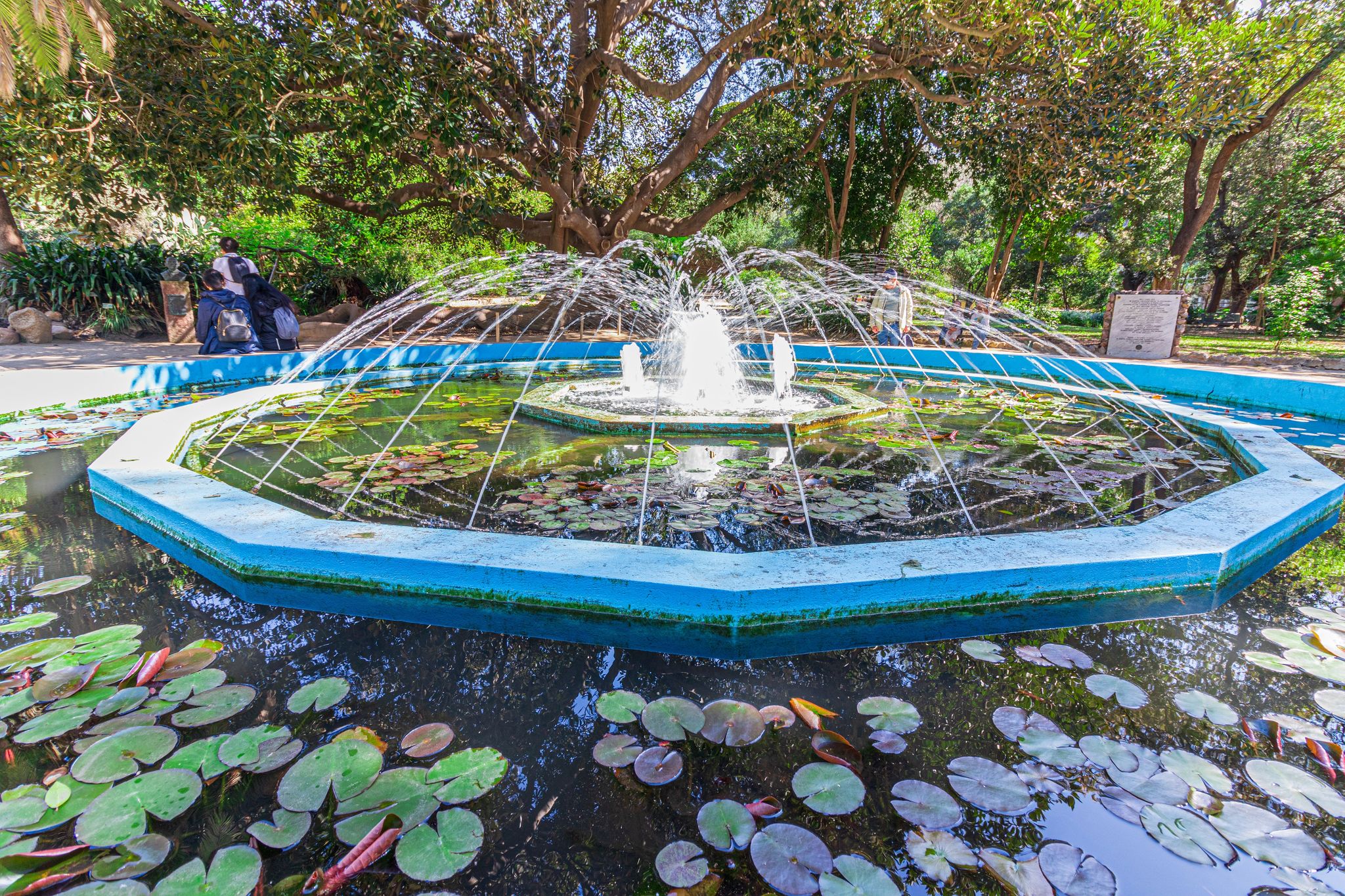 Photo of aerial view of Cagliari, Sardinia, Italy.