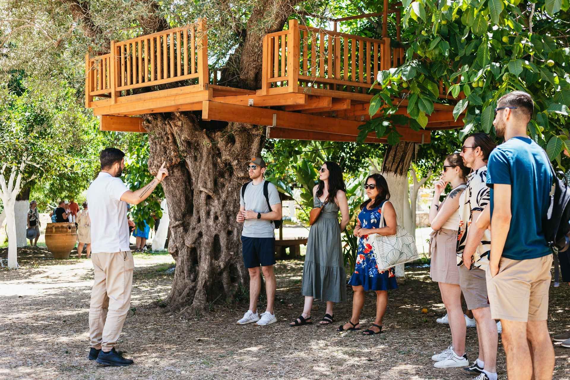 From Chania: Wine and Olive Oil Tasting Tour with Snacks