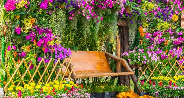 photo of view of Wood chair in the flowers garden on summer./ Wood chair in the flowers garden., Vienna Austria.