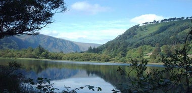 都柏林到格伦达洛，威克洛和基尔肯尼全日导游