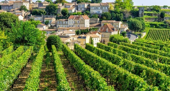 Photo of vineyards of Saint Emilion village in Bordeaux region, France.