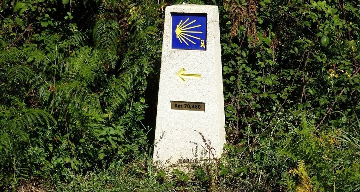 "Camino de Santiago" (Way of St James): Original Way