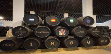 Jerez de la Frontera: Sherry Winery Tour with Tasting