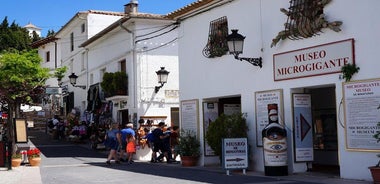 From Albir & Benidorm: Guadalest Village Excursion