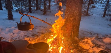 Sulitjelma: Forest Tour, Northern Lights. Bonfire & Huskies
