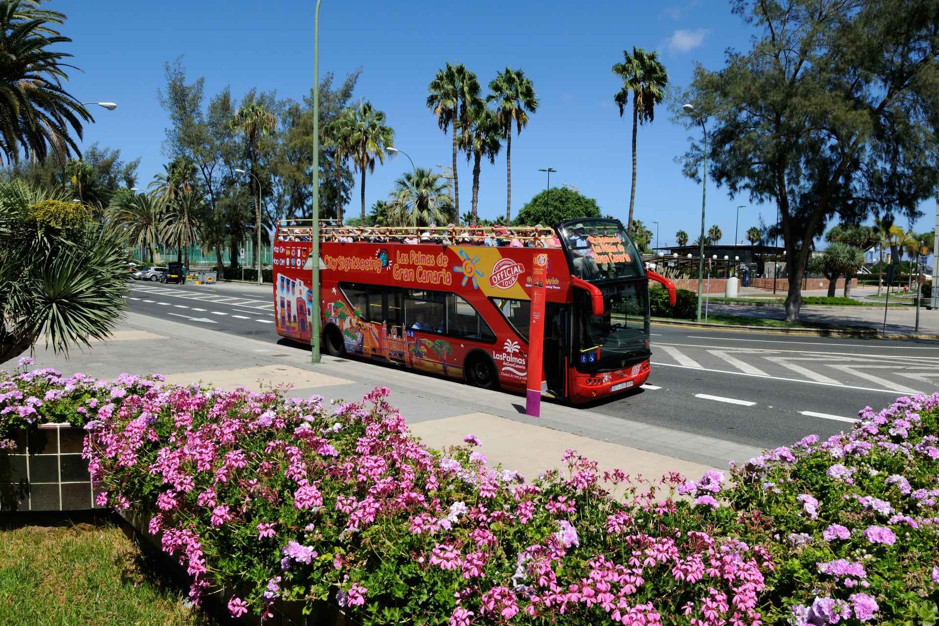 Las Palmas: City Sightseeing Hop-On Hop-Off Bus Tour