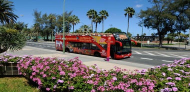 Las Palmas: City Sightseeing Hop-On Hop-Off Bus Tour