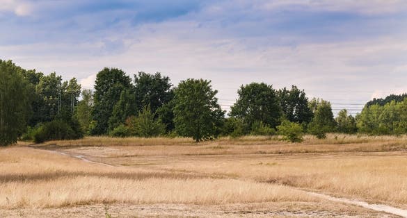 Photo of nature reserve Radouč, Czech Republic.