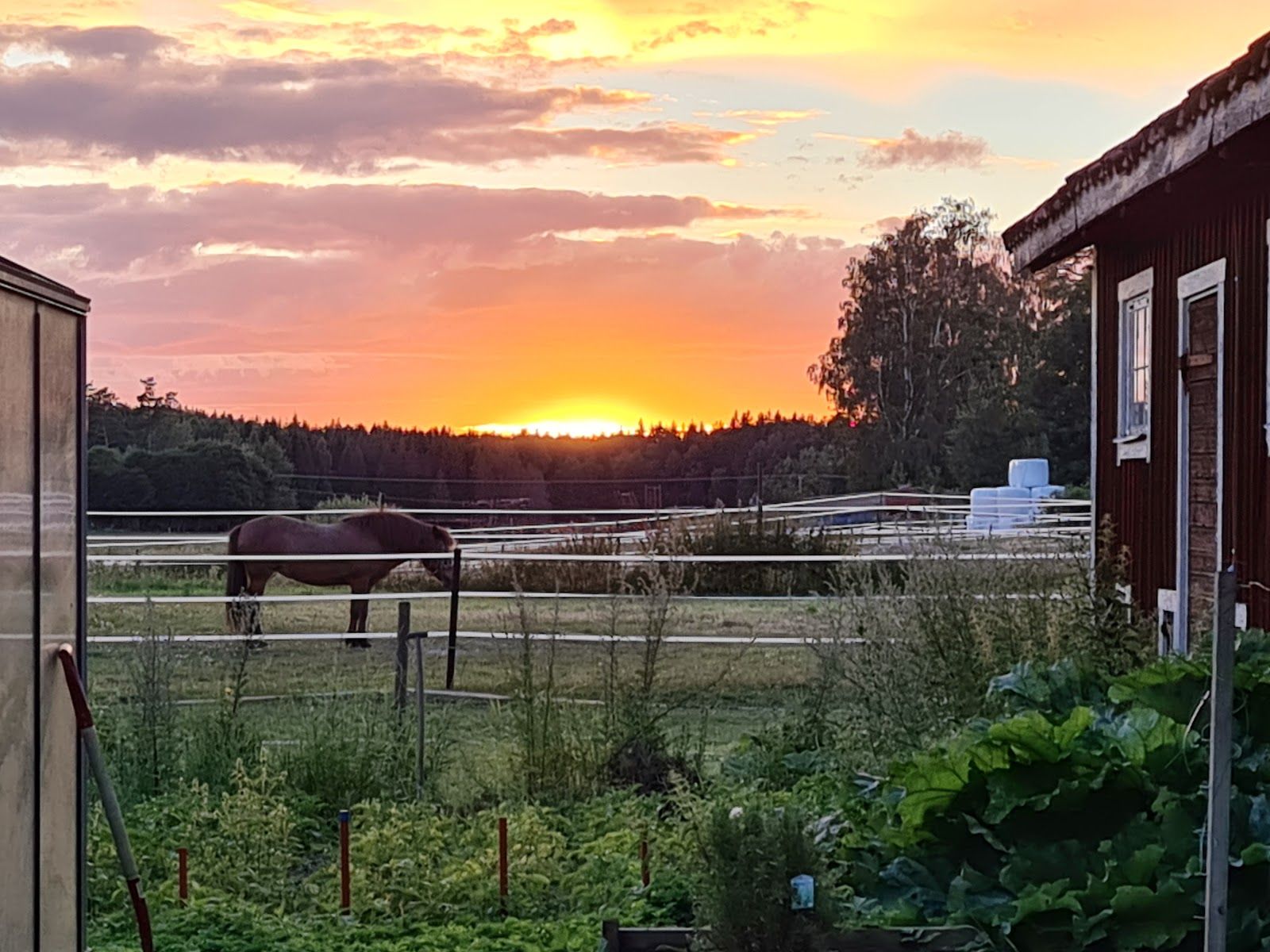Tolfta Gård, Katrineholms kommun, Södermanland County, Sweden