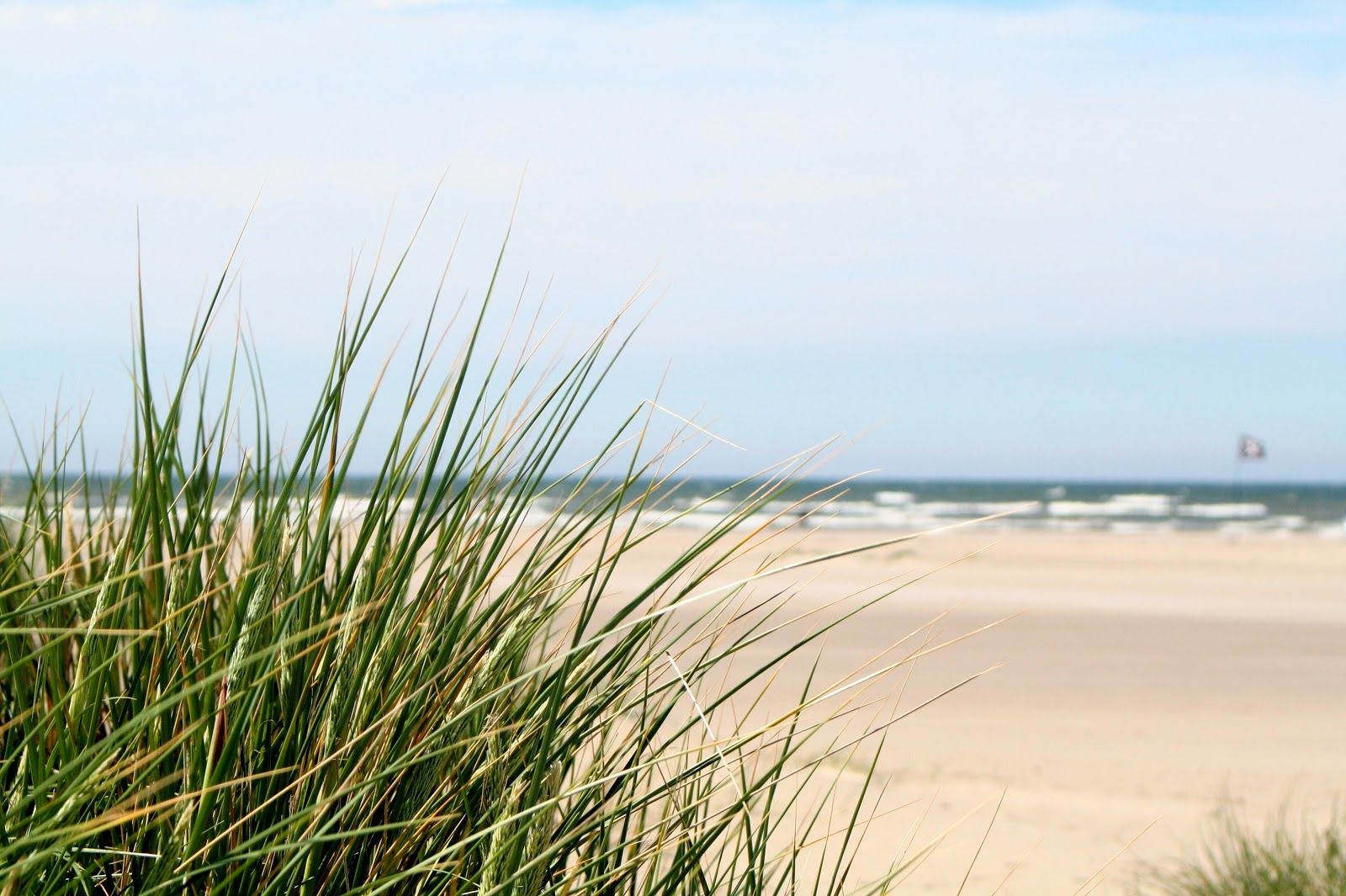 Rindby beach, Fanø Kommune, Region of Southern Denmark, Denmark