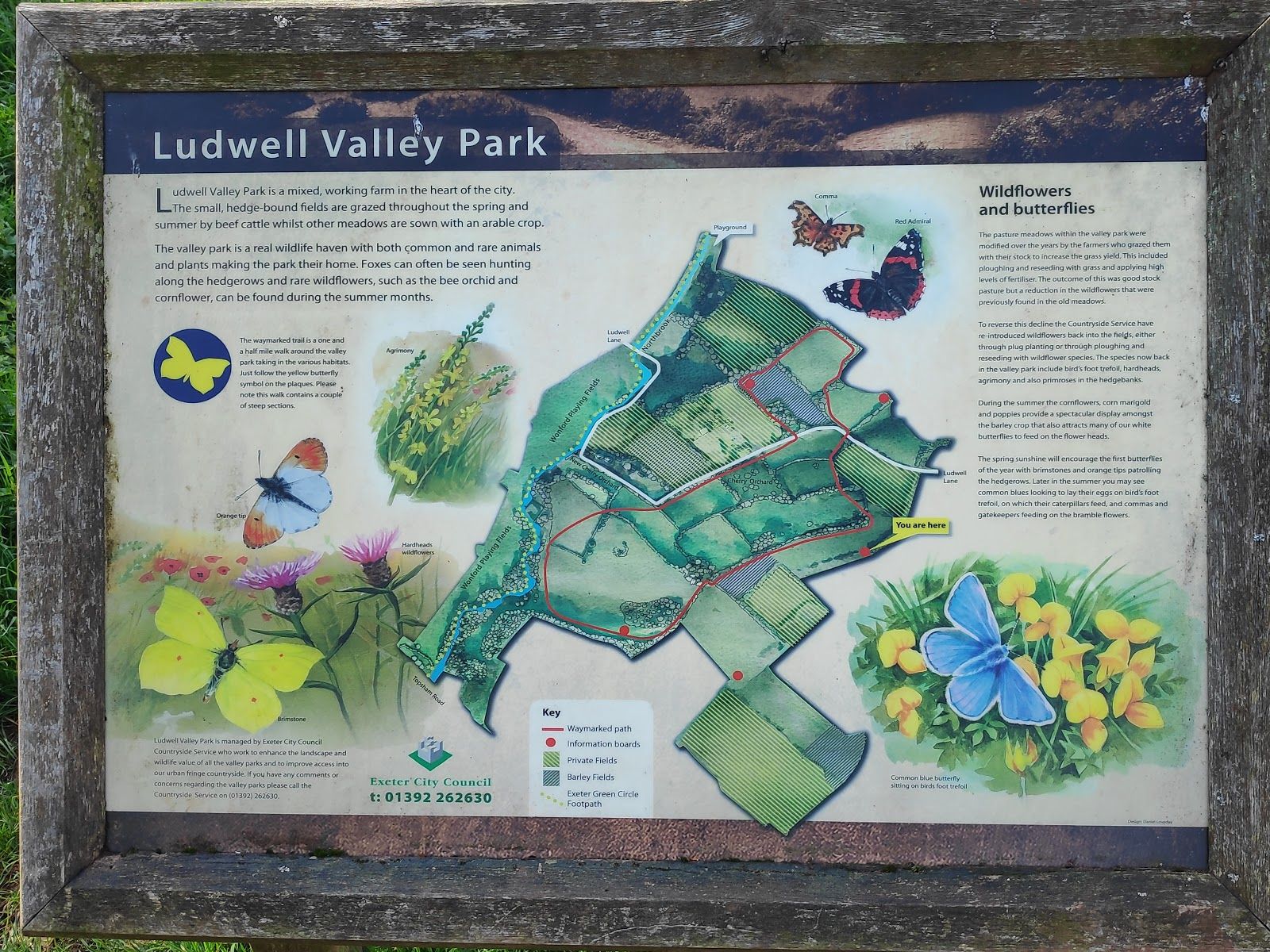 Ludwell Valley Park, Exeter, Devon, South West England, England, United Kingdom