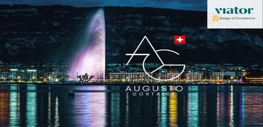 Geneva Complete Tour (PICK-UP), United Nations area & Old City