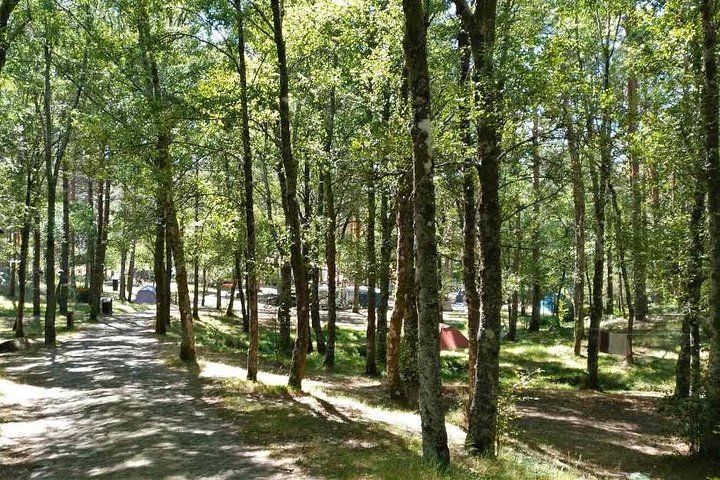 Tree and Slide Adventure in Lamas de Mouro at PNPG