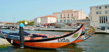 Aveiro: Traditional Moliceiro Boat Cruise