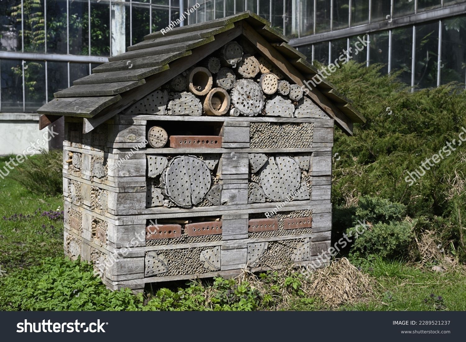 Hotel for insects in the Poznań Palm House
