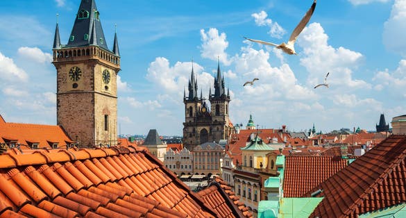 Photo of gulls over Prague chimes and Tynsky cathedral at summer day, Czech Republic.