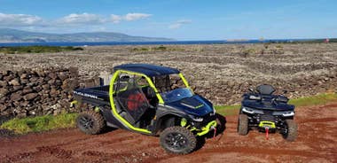 Buggy tour through the vineyards of Pico Island