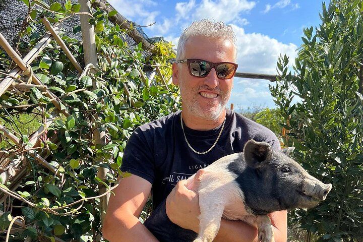 Discover Montepulciano: Cinta Senese Pigs, Lunch & wine in a Farm