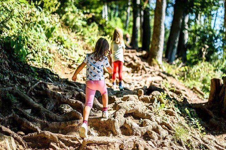 Durmitor National Park hiking tour - easy to moderate