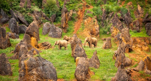 photo of African elephants in Cabarceno Natural Park in Cantabria, Spain.