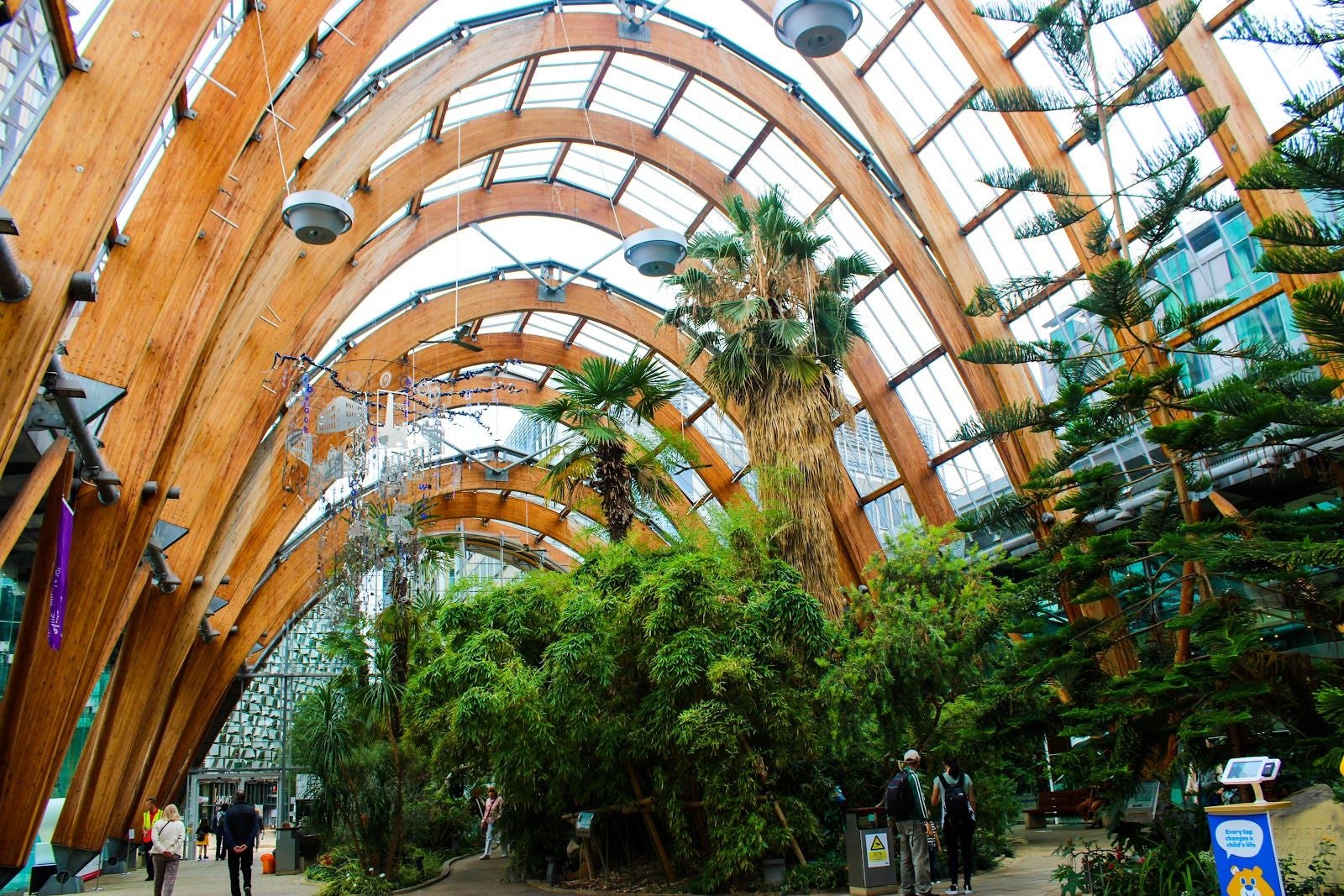 Winter Garden, Sheffield, Yorkshire and the Humber, England, United Kingdom