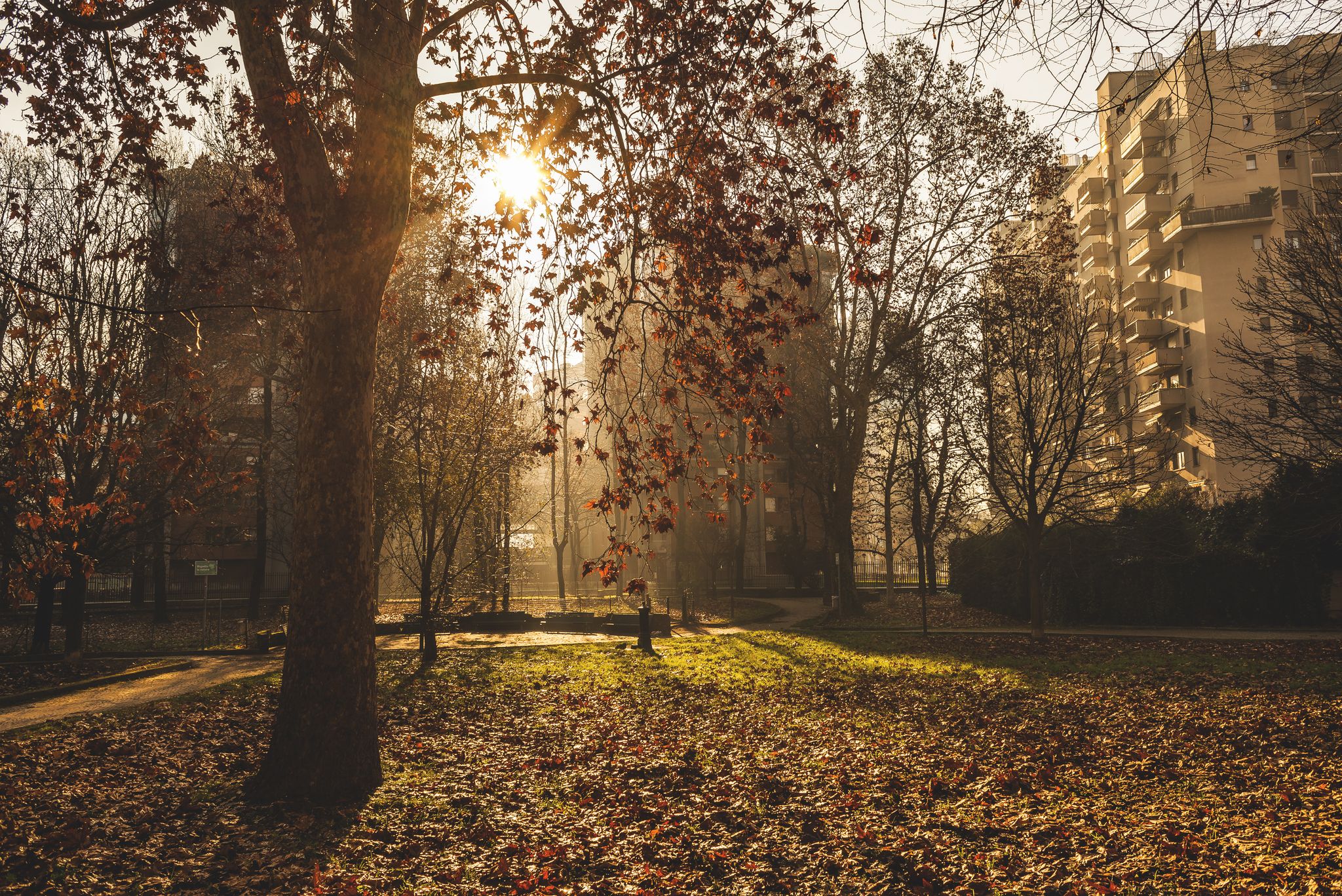 Photo of Sesto San Giovanni public garden, Italy.