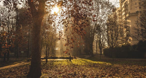 Photo of Sesto San Giovanni public garden, Italy.