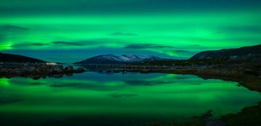 Northern Lights Hunt with The Green Adventure - photos included