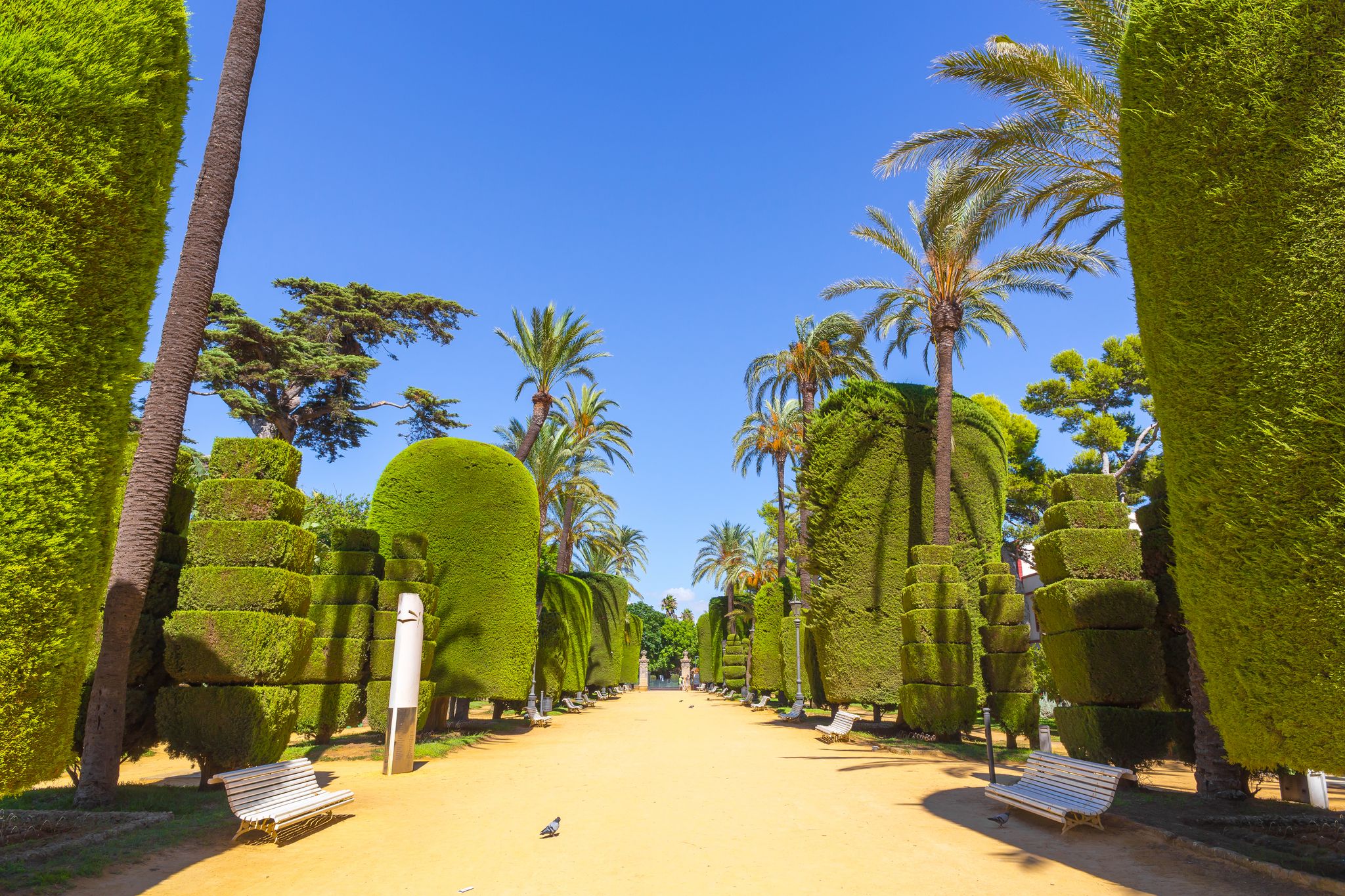photo of Cadiz Garden, Genoves park situated on seaside of Cadiz, Andalusia, Spain.