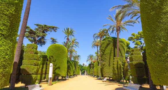photo of Cadiz Garden, Genoves park situated on seaside of Cadiz, Andalusia, Spain.