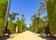 photo of Cadiz Garden, Genoves park situated on seaside of Cadiz, Andalusia, Spain.