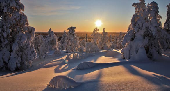 Photo of beautiful winter landscape of Luosto in finish Lapland, Finland.